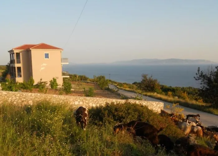 Regina Simotata Sissia * Lourdata (Kefalonia)