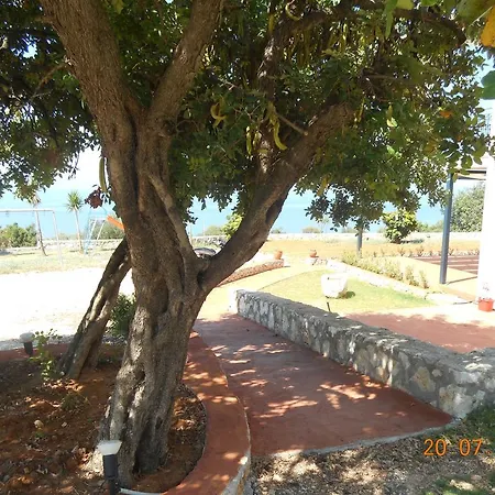 Regina Simotata Sissia *